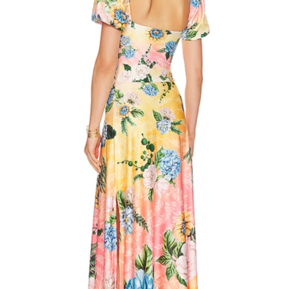 Agua Bendita Clare X Revolve Maxi Dress - Picture 3 of 7